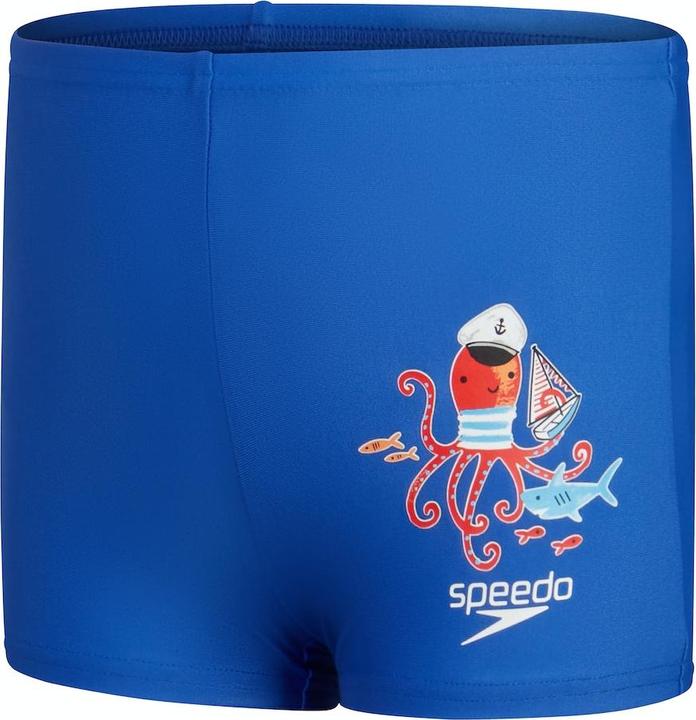 Actual product image Speedo Placement Aquashort (80, 86)