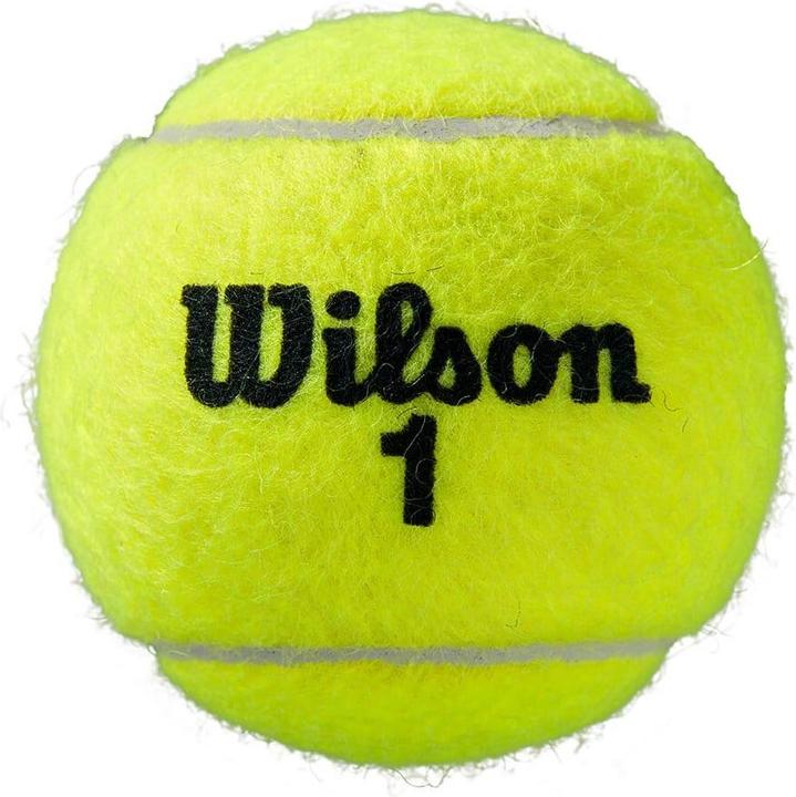 Actual product image Wilson Roland Garros