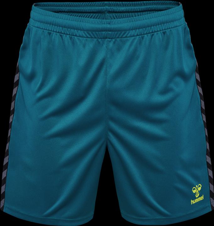 Actual product image hummel Hmlauthentic Pl Shorts (3XL)