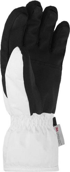 Produktbild 4F Skihandschuhe (XL)