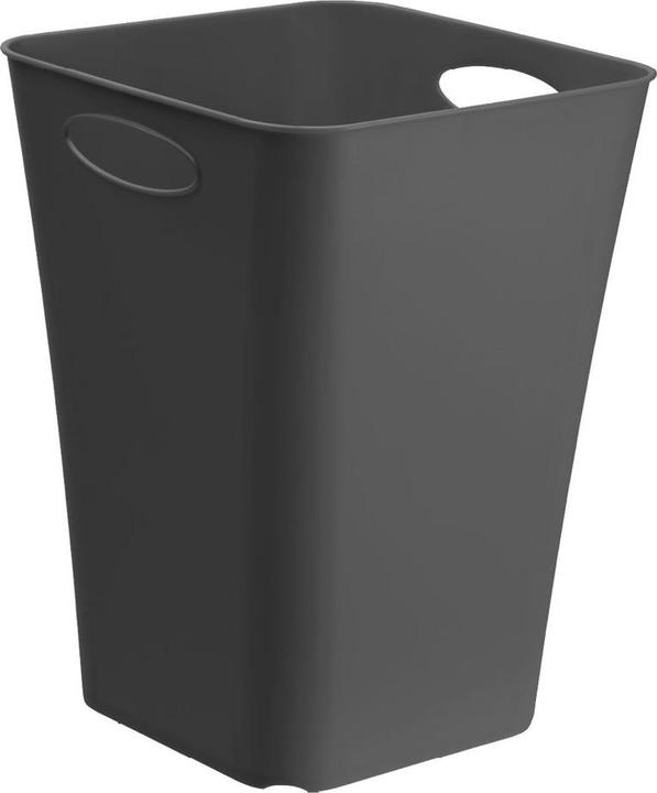 Immagine prodotto Rotho Scatola vivente (29,5 x 39,5 x 29,5 cm, 23 l)