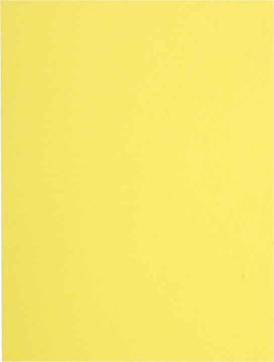 Exacompta Sammelmappen (A4, 100 x)