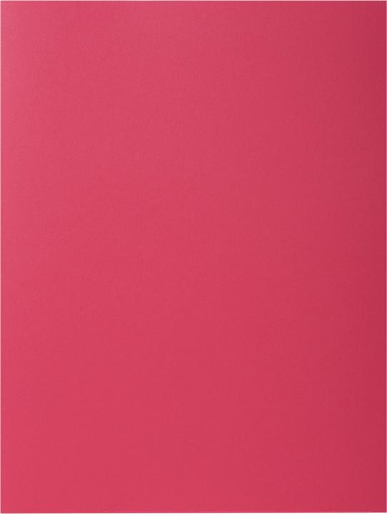 Immagine prodotto Exacompta Scrapbook - Copertine di file (A4, 100 x)