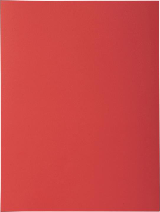 Immagine prodotto Exacompta Scrapbook - Copertine di file (A4, 50 x)