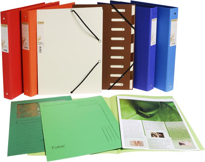 Produktbild Exacompta Sammelmappen - Aktendeckel (A4, 100 x)