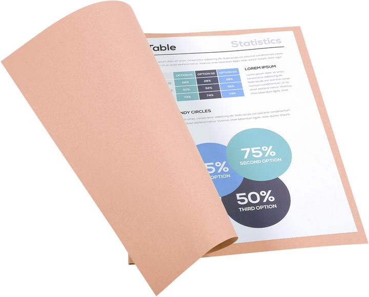 Actual product image Exacompta File cover (A4, 1 x)