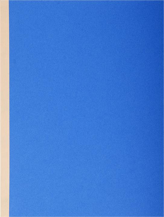 Produktbild Exacompta Sammelmappen - Aktendeckel (A4, 10 x)