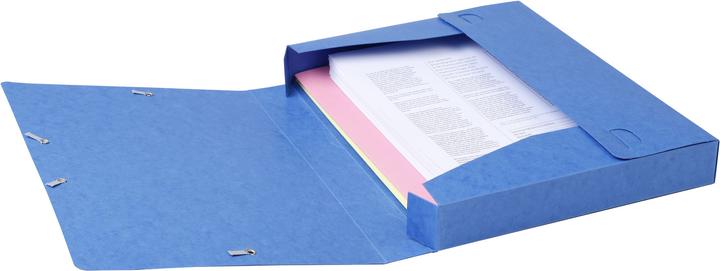 Actual product image Exacompta Archivboxen (A4)