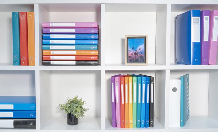 Actual product image Exacompta Ring binders (A4, 40 mm, 1 Piece)