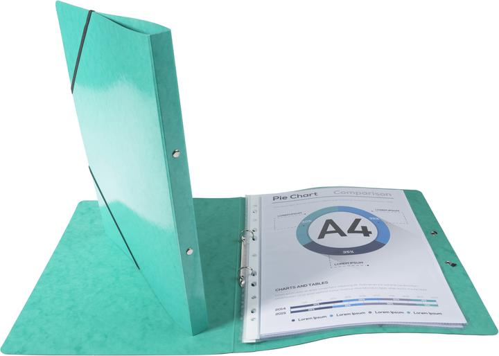 Actual product image Exacompta Ring binders (A4, 20 mm, 1 Piece)