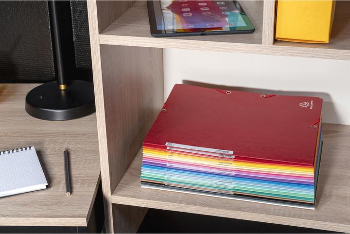Actual product image Exacompta Collection folder with elastic band (A4, 425 x)