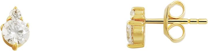 Xenox Krappe Gold Ohrringe (Silber 925)