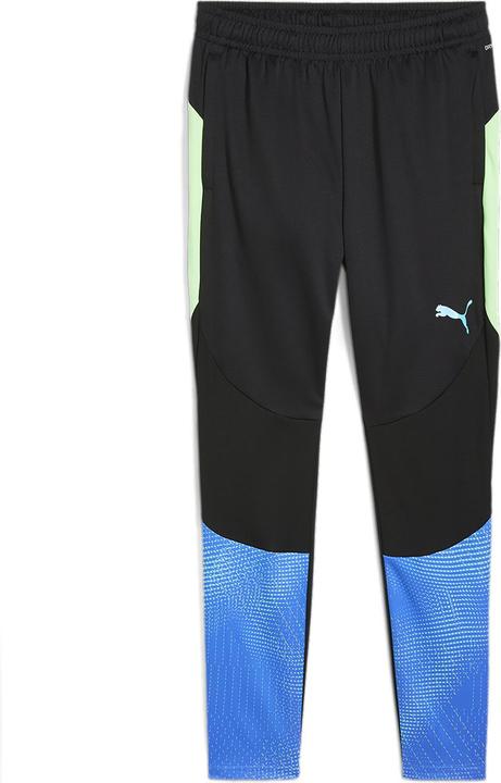 Actual product image Puma individualFINAL Training Pants (L)