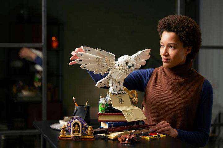 Produktbild LEGO Hogwarts Ikonen - Sammler-Edition (76391, LEGO Harry Potter, LEGO Seltene Sets)