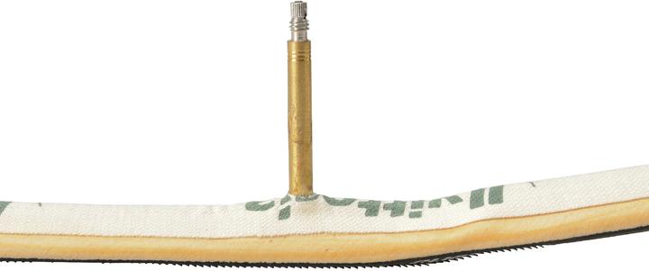 Actual product image Vittoria Rally (21-622)