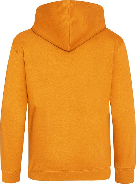 Actual product image Awdis Hooded jumper (128)