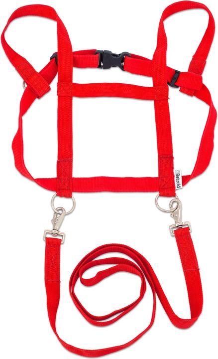 Betzold Harnais pour enfants