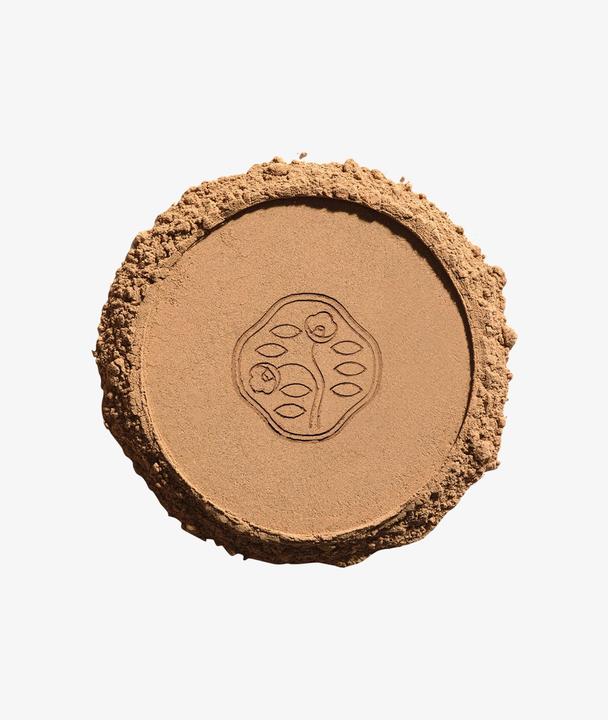 Actual product image Shiseido Tanning (Natural)