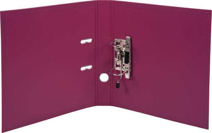 Actual product image Exacompta Folder (A4, 50 mm, 1 Piece)
