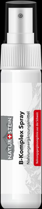 Actual product image Naturstein Vitamin Spray B-Komplex (1 Piece, Spray, 41 g)