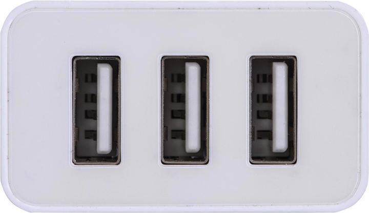 Actual product image Everactive SC-300 Charger (USB, white) (17 W)