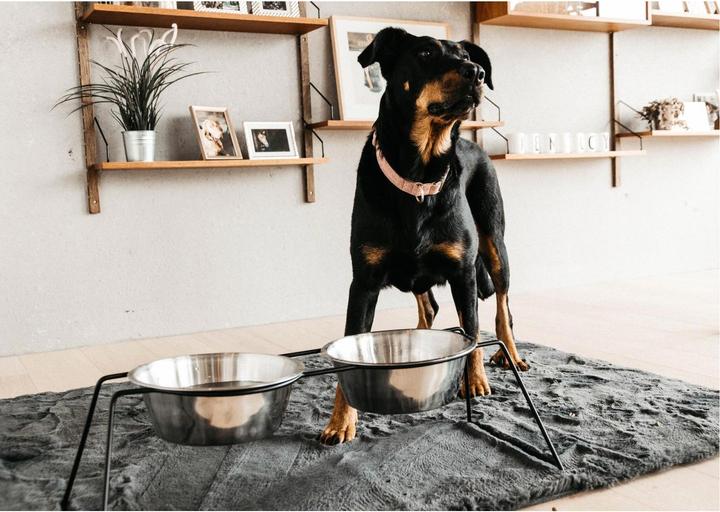 Produktbild Kentucky Dogwear Futternapf Comfort Feeder- (0.80 l)