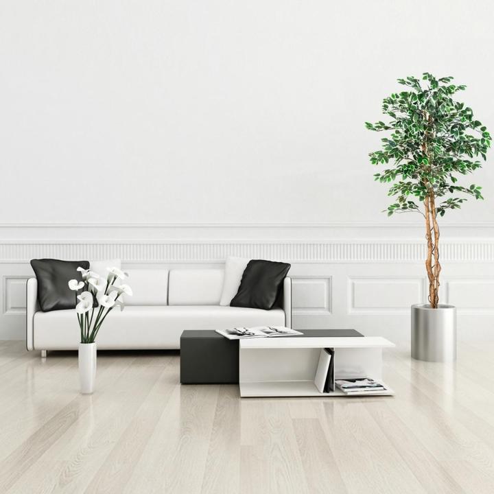 Image du produit Plantasia Ficus Benjamini (160 cm)