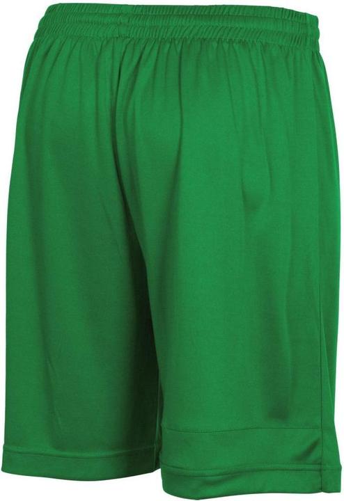 Actual product image Stanno Field shorts (128)