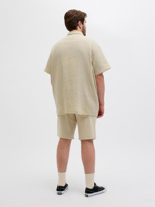 Immagine prodotto Jack & Jones Plus Size Relaxed Fit Hemd Hemd (3XL)
