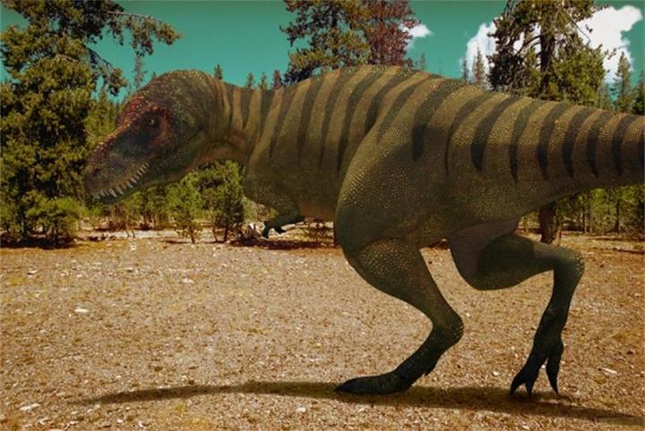 Produktbild neu Dinosaurier Im Reich der Giganten (DVD, 2006, Deutsch, Englisch)