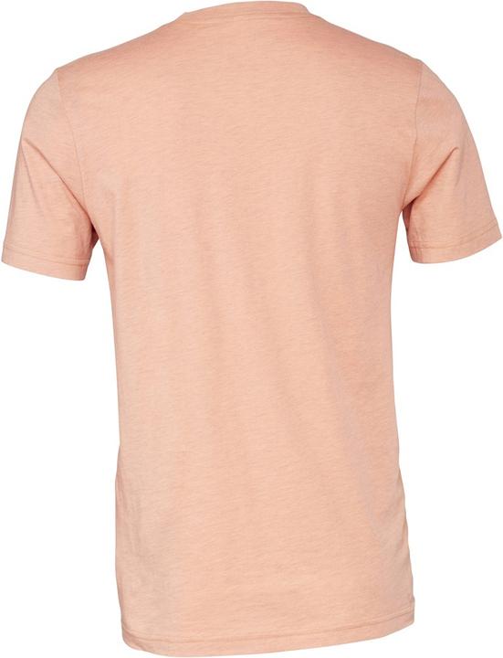 Actual product image Bella Canvas Cvc Tshirt Adults (M)