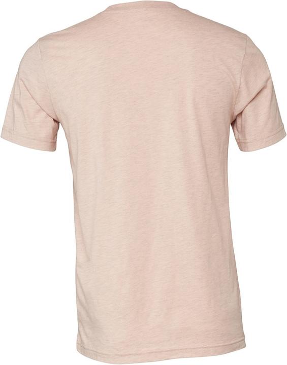 Actual product image Bella Canvas CVC TShirt adults (L)