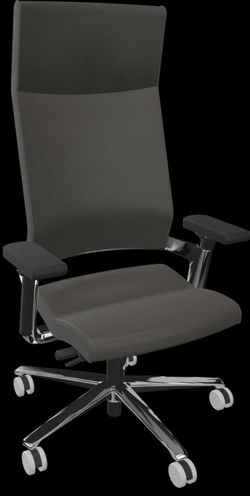 Leder Premium Graphitgrau