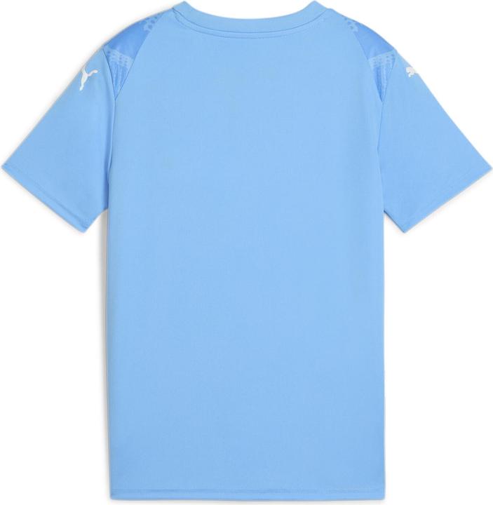 Produktbild Puma teamULTIMATE Jersey Jr (152)