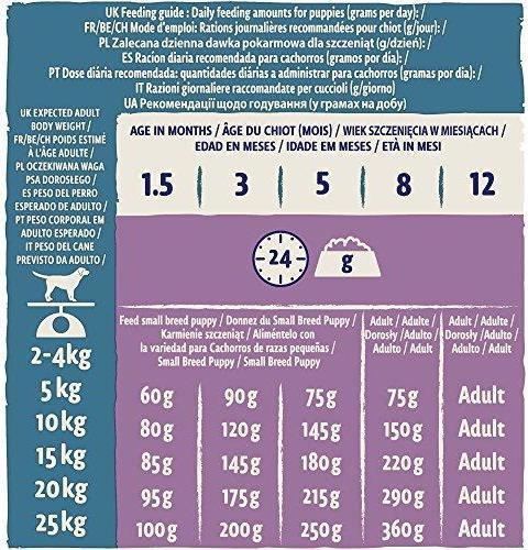 Produktbild Purina DOG CHOW Puppy with lamb 14kg (Welpe + Kitten, 14000 g)