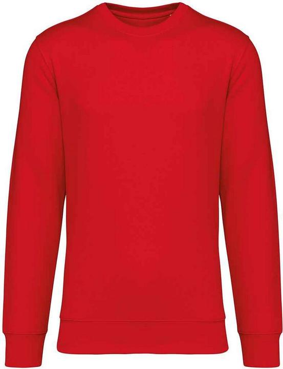 Native Spirit Sweatshirt Rundhalsausschnitt