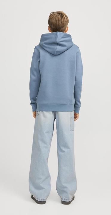 Actual product image Jack & Jones Jjialex Jjicarpenter Akm 142 Sn Jnr (170)