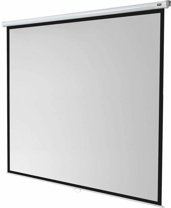 Actual product image Celexon Rollo Economy, Canvas, 1:1 (167", 1:1)