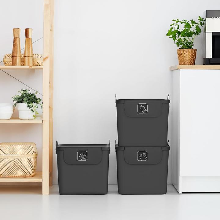 Actual product image Rotho 3-teiliges Mülltrennsystem (90 l)
