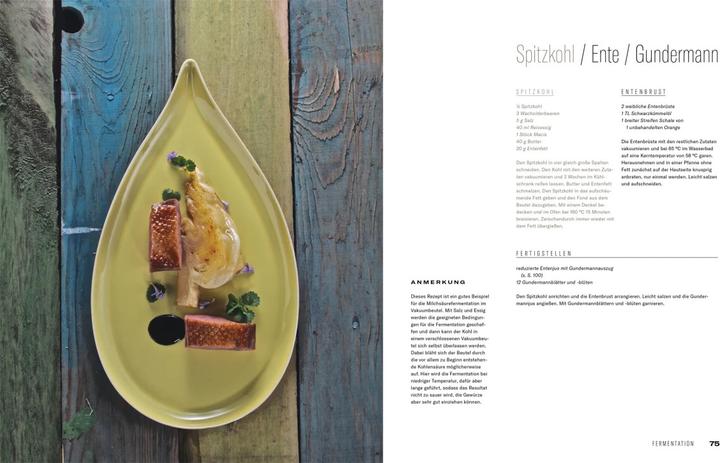 Produktbild Fermentation (Deutsch, Thomas Ruhl, Heiko Antoniewicz, Matthaes, 2021)