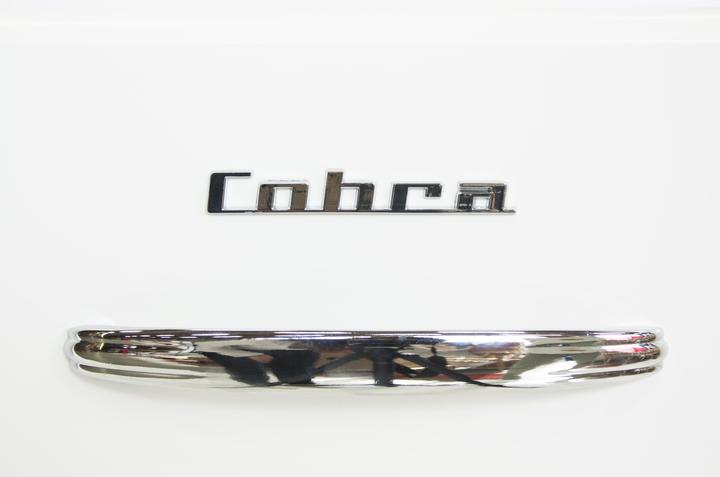 Produktbild tenzo Cobra (163 x 43 x 92 cm)