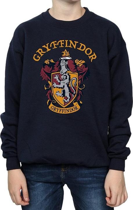 Immagine prodotto Felpa in cotone Gryffondor per ragazzi (140, 146)