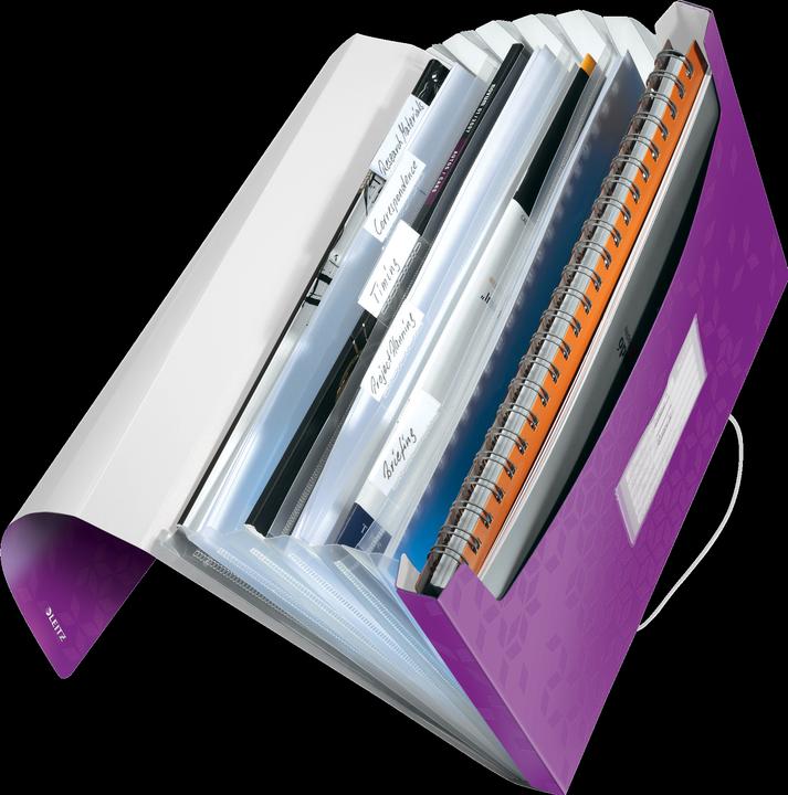Actual product image Leitz WOW - Project folders (A4, 1 x)