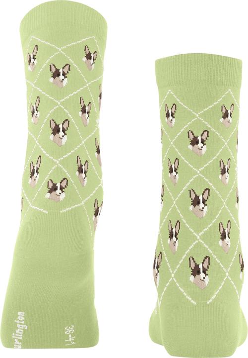 Actual product image Burlington Corgi (Single pack, 36 - 41)