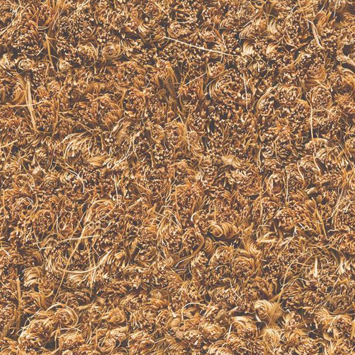Actual product image Hamat Coconut mat beige 40.0 x 60.0 cm (40 x 60 cm)