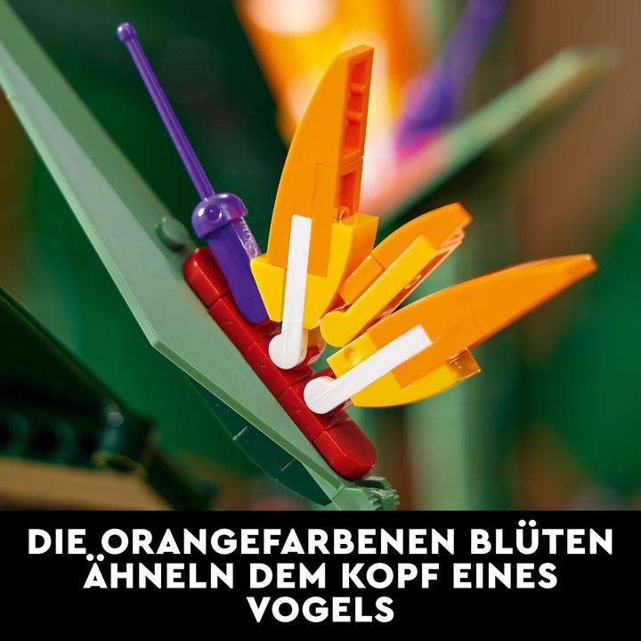 Image du produit LEGO Oiseau de Paradis (10289, LEGO difficiles à trouver)