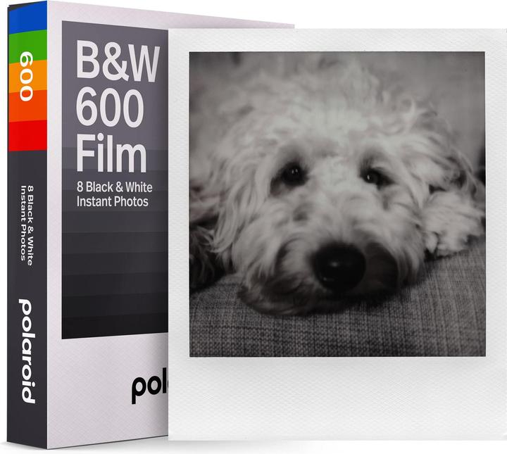 Image du produit Polaroid B&W 600 (Polaroid 600)