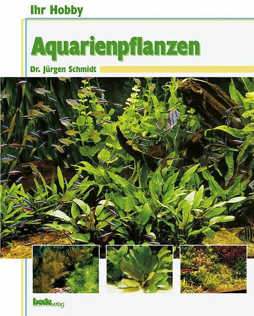 Produktbild Ihr Hobby Aquarienpflanzen (Deutsch, Jürgen Schmidt, 1997)