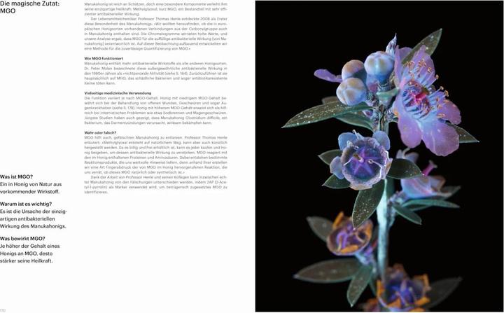 Actual product image Die Verführung der Biene (German, Cornelia Panzacchi, Jürgen Tautz, Craig P. Burrows, 2024)