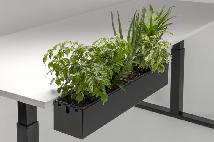 Immagine prodotto Actiforce Multibox Grande